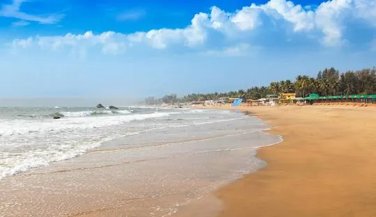 Calangute Escorts